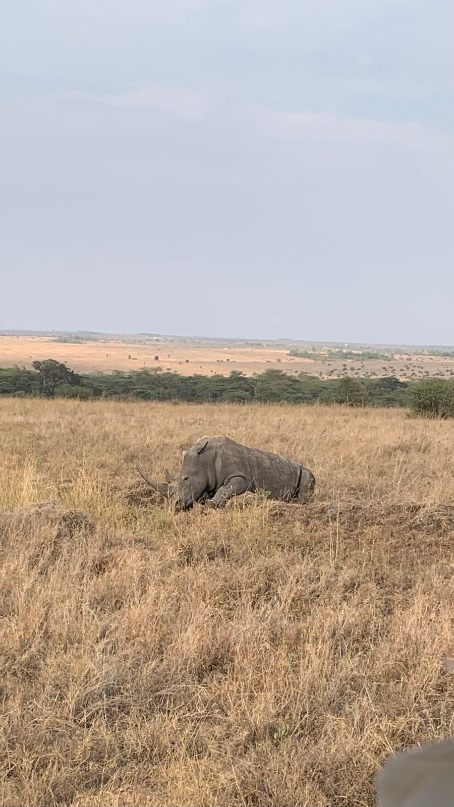 Nairobi nasjonalpark