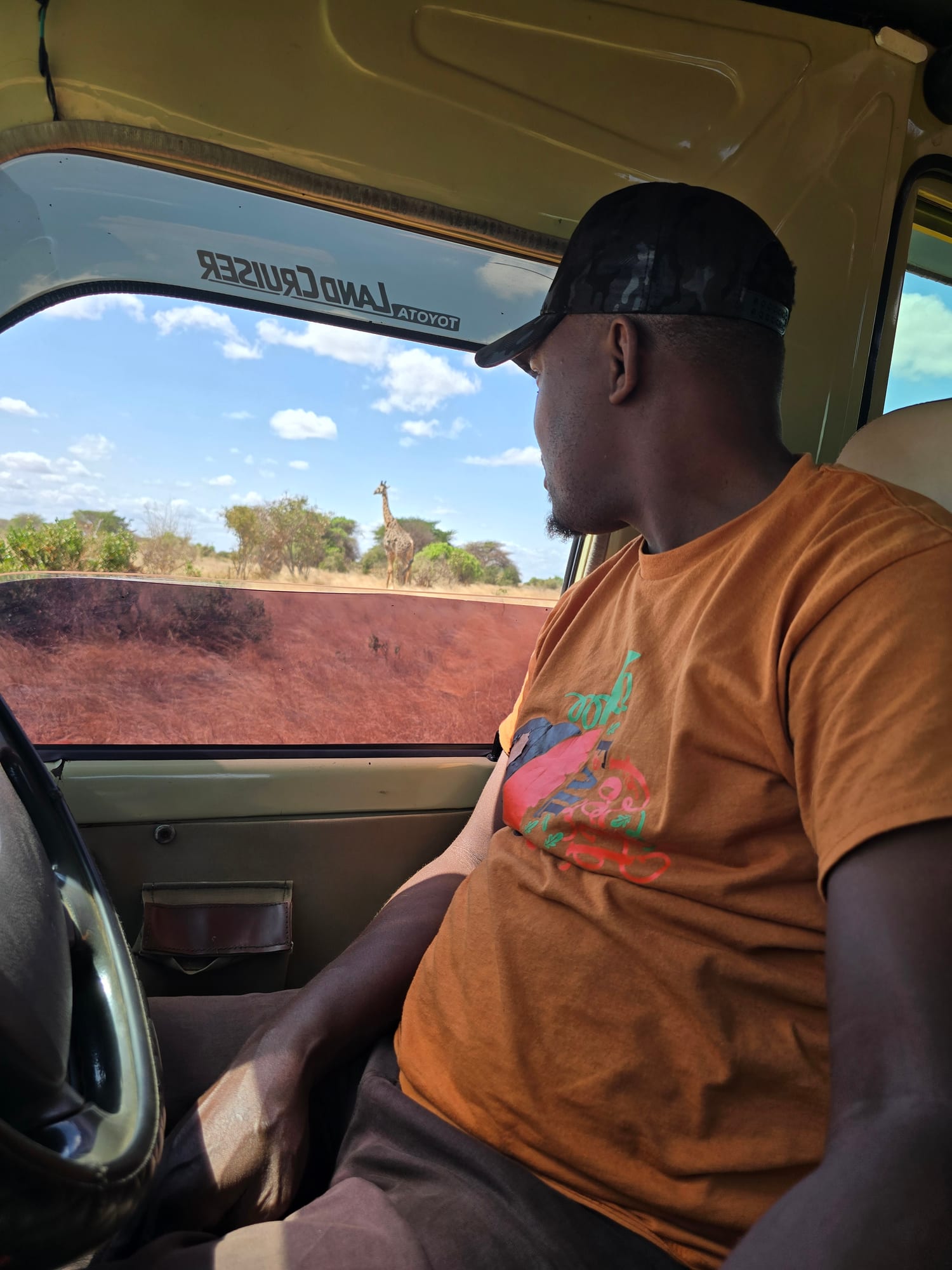 Guide spotting a giraffe from the safari vehicle, Tsavo
