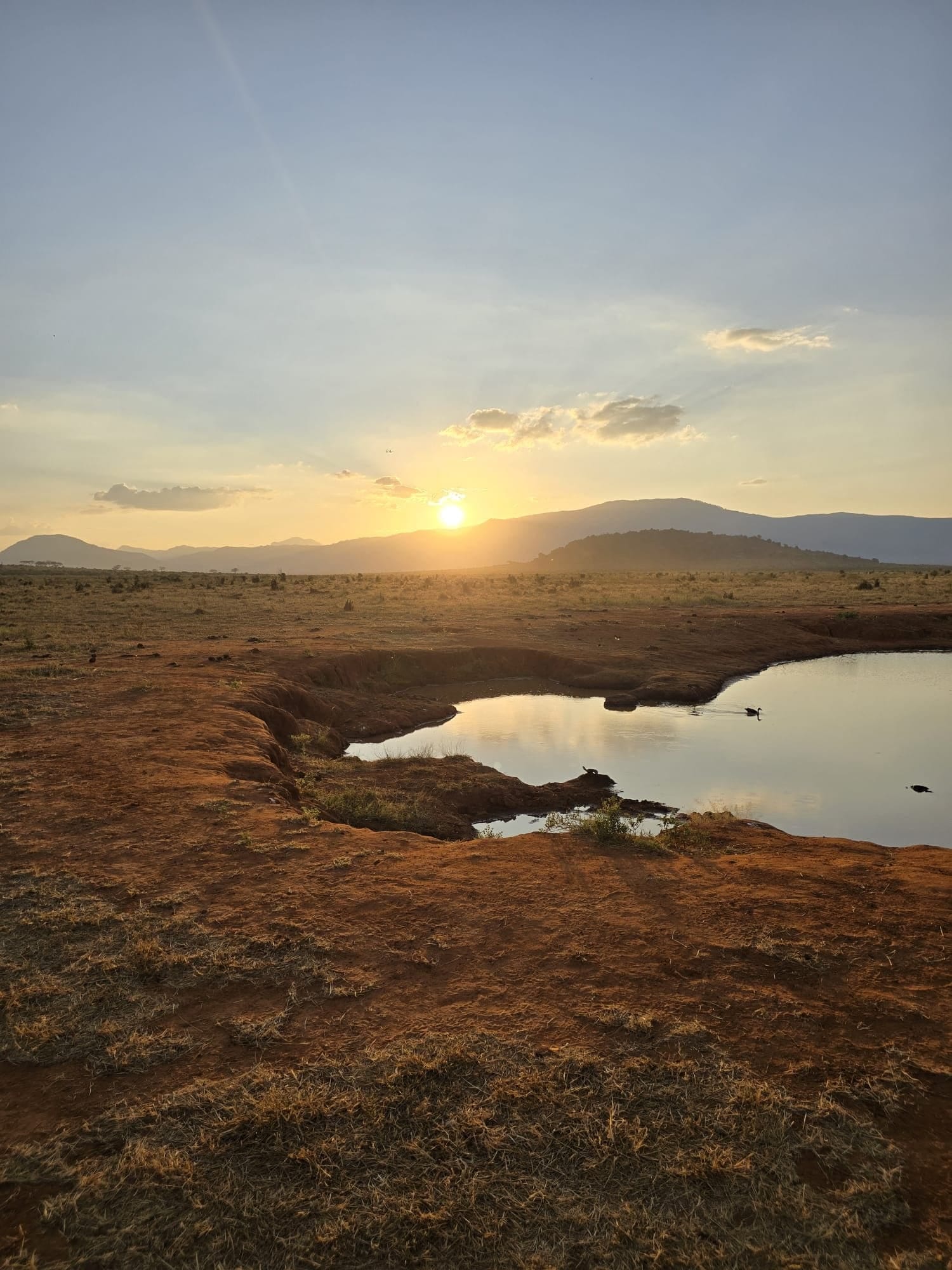 Sunset over a waterhole, Tsavo